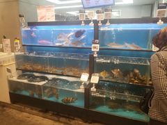 水产区-盒马鲜生(宝地店)