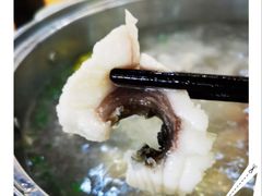 -焯明脆肉鲩世家(金沙洲店)