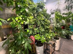 -双季花艺园艺市场(浦东店)