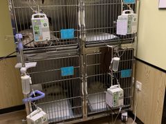 -派联宠物医院·24h·CT·异宠