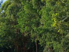 -白石龙音乐公园