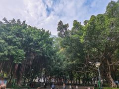-江头公园