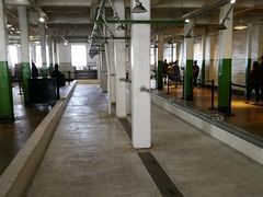 -阿尔卡特拉斯岛