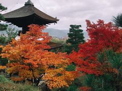 -常寂光寺