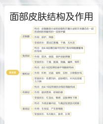 点击看大图 -玛莲朵·海菲秀冰珀科