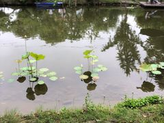 -洪湖家庭农场·团建·露营·会议