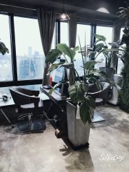 点击看大图 -V-STAR威斯达•高级私人定制
