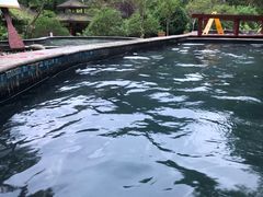 -中铁花水湾温泉酒店(大邑店)