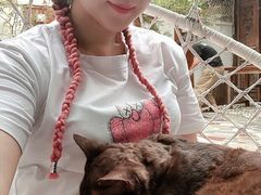 德芙-喵屿·大理花园猫咖