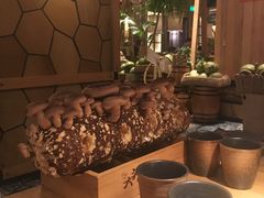 -大头椰·椰子鸡火锅(南宁万象城店)