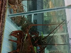 -珠海怡景湾大酒店