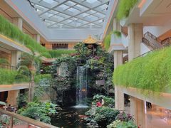景观位-白天鹅宾馆-宏图府餐厅