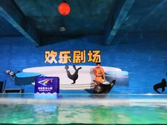 -南昌海洋公园