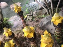 -南通洲际绿博园