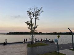 -深圳人才公园