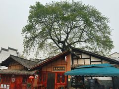 -后柳水乡