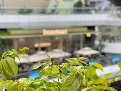 -BeauTea水仙(coco park店)
