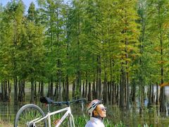 -白鹭湾湿地公园