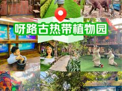 -呀路古热带植物园