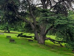 -墨尔本皇家植物园