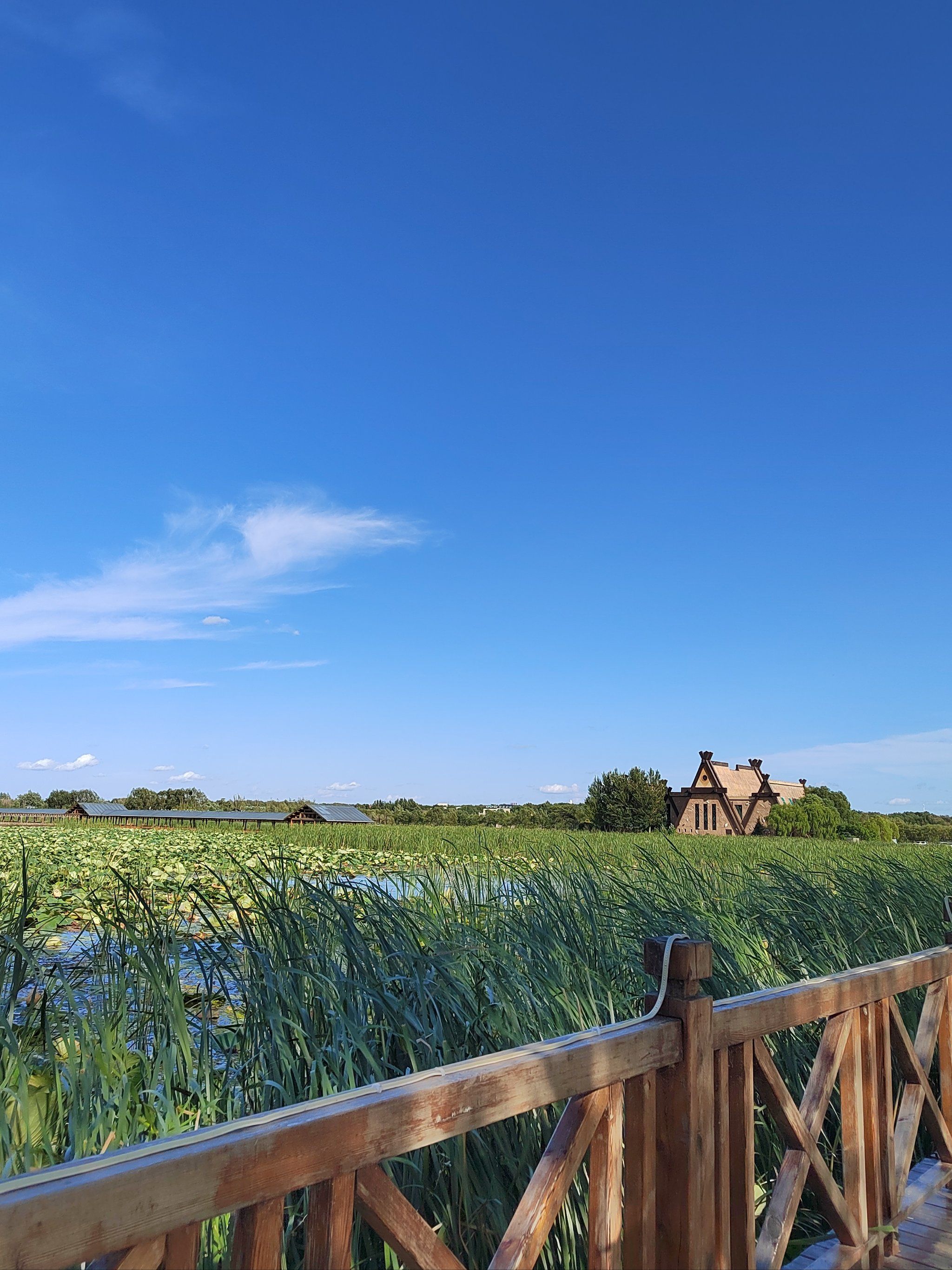 景色美得让人沉醉