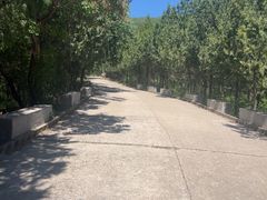 -蟒山国家森林公园-停车场