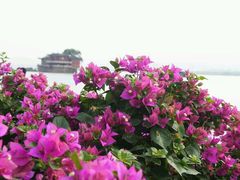 android_upload_pic-仓山金山寺