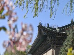 -张掖大佛寺