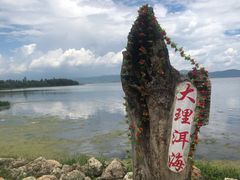 -大理洱海