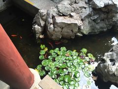 -全季酒店（苏州观前街平江路店）(原临顿路地铁站店)