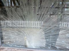 -南宫温泉水世界