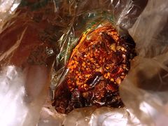 -老黄记手撕烤兔(玉林街店)