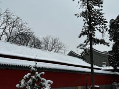 -白云观