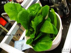 传奇火锅_菠菜-川中故事·成都老火锅(东书房店)