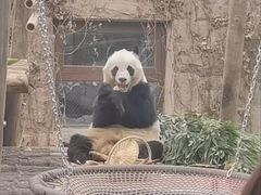 -泉城欧乐堡梦幻世界