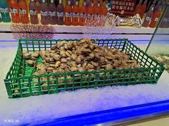 -比尔森韩式烤肉自助(绿园店)