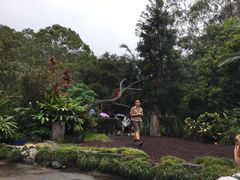 百鸟表演-可伦宾野生动物保护区