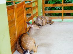 -华谊兄弟（长沙）电影小镇