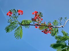 -小海豚•老字号海鲜餐厅(天涯店)