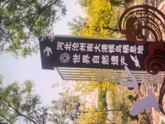 -南大港湿地风景区