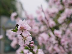-江南大学(蠡湖校区)