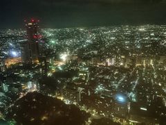 -东京都厅舍
