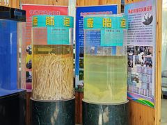 -北京鹿世界主题园