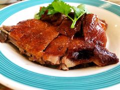 椿记烧鹅-椿记烧鹅(北门店)