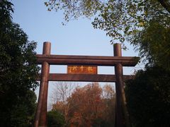 -龙井村