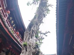 -叩齿古寺