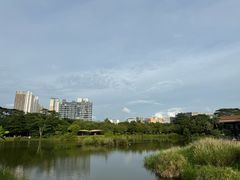 -福田红树林生态公园