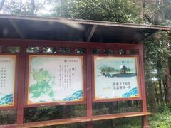 -炎帝陵景区