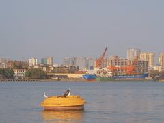 -长洲岛