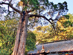-青岛崂山太清宫